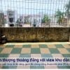 Nhà chợ Hàng Hải Phòng