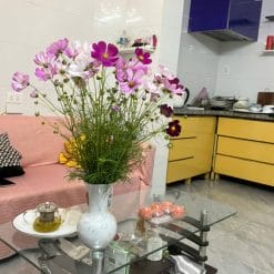 Nhà Ngõ Tô Hiệu Lê Chân